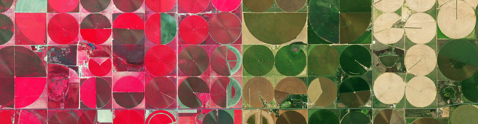 Dimmitt_Texas_1640x428